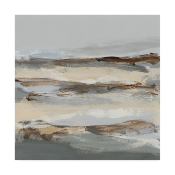 Trademark Fine Art Christina Long 'Winter Sun I' Canvas Art, 35x35 WAG14775-C3535GG